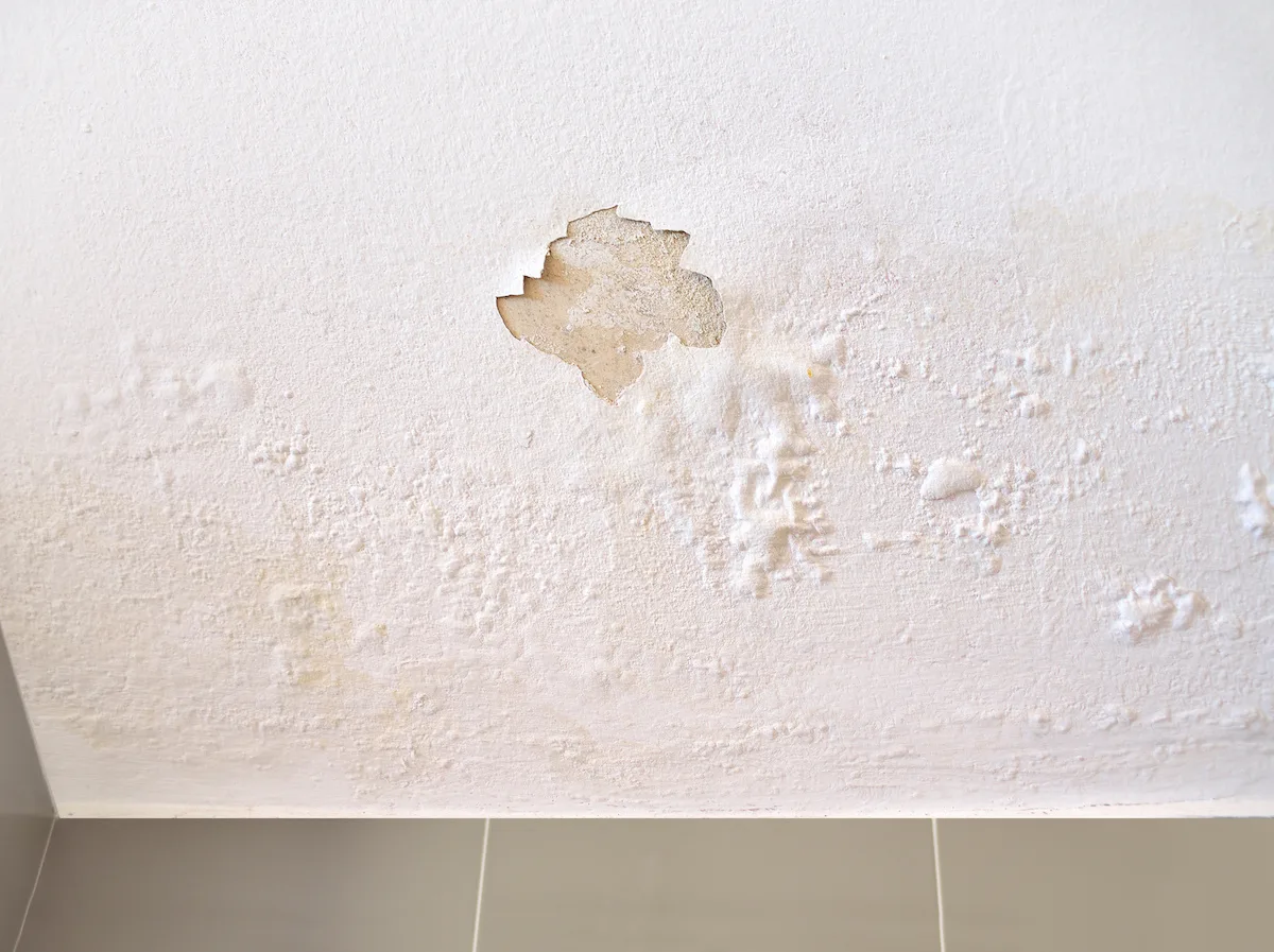 Peeling and damaged drywall surface